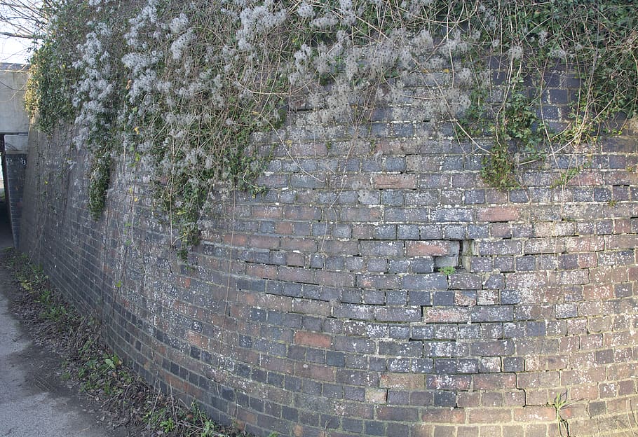 uk, gloucester, the wall, architecture, brick, plant, day, brick wall HD wallpaper