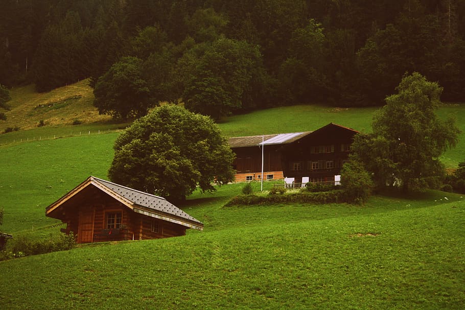 Two Brown Wooden Cabins in Green Grass Field, architecture, barn HD wallpaper