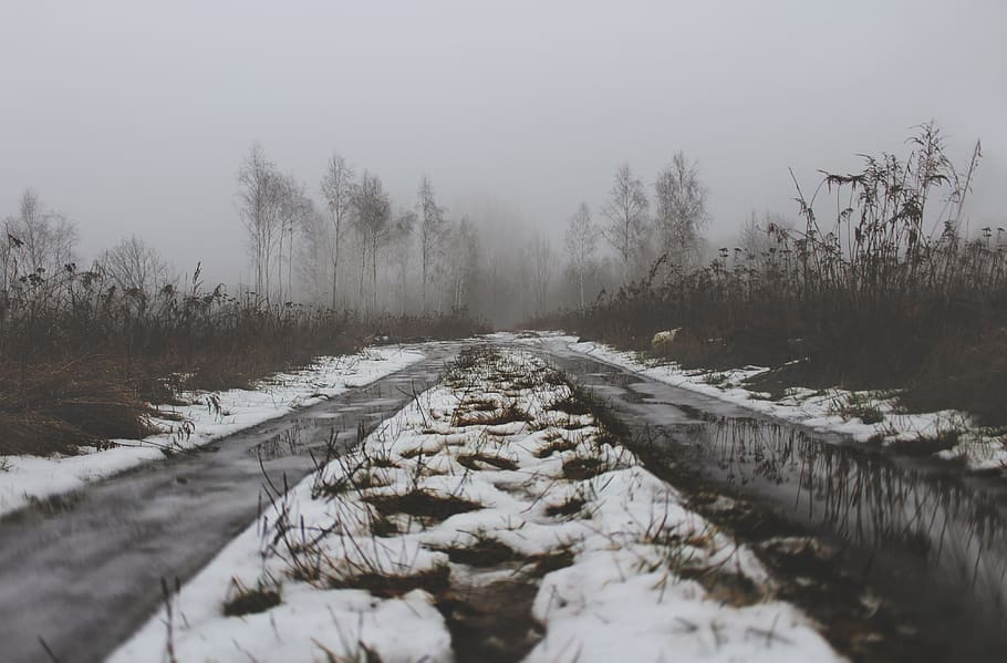 Low Angle Photo of Road With Snow, cold, daytime, environment HD wallpaper