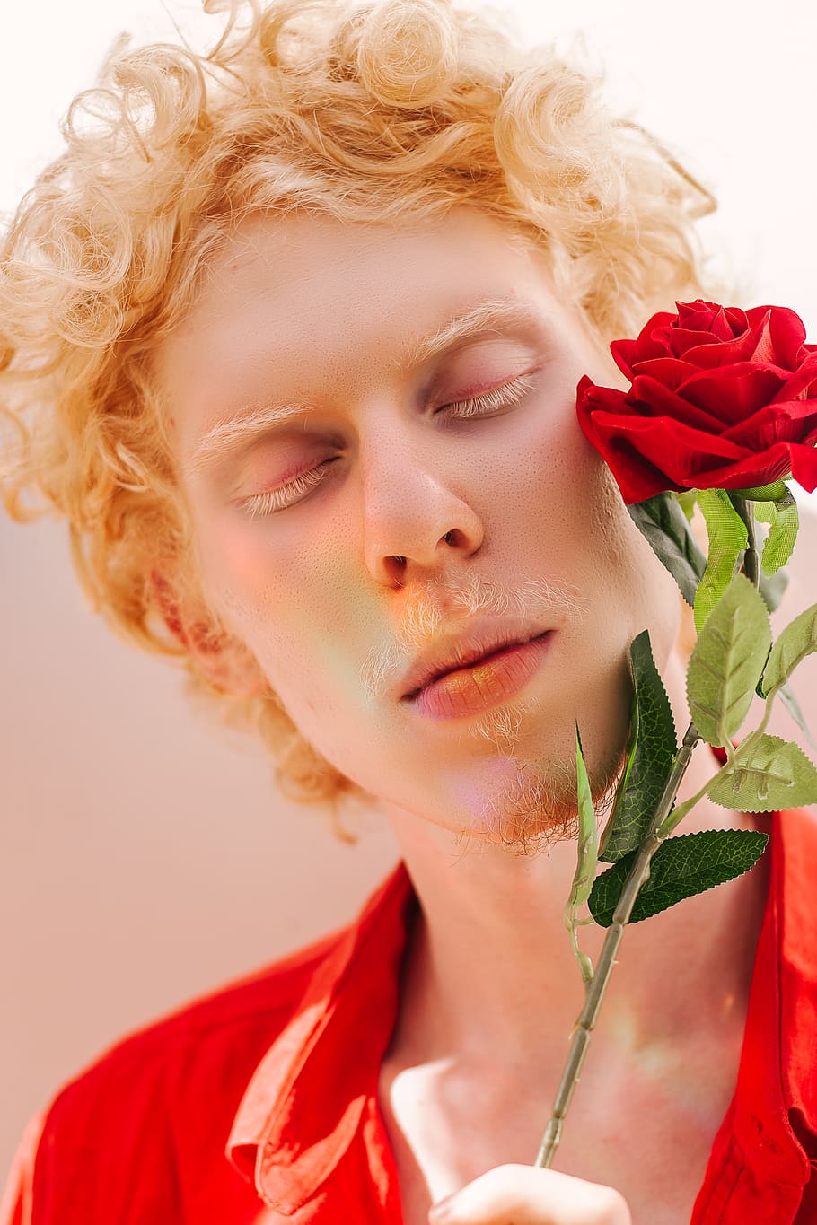 Man Wearing Red Collared Shirt Holding Red Rose Flower, albino, HD wallpaper