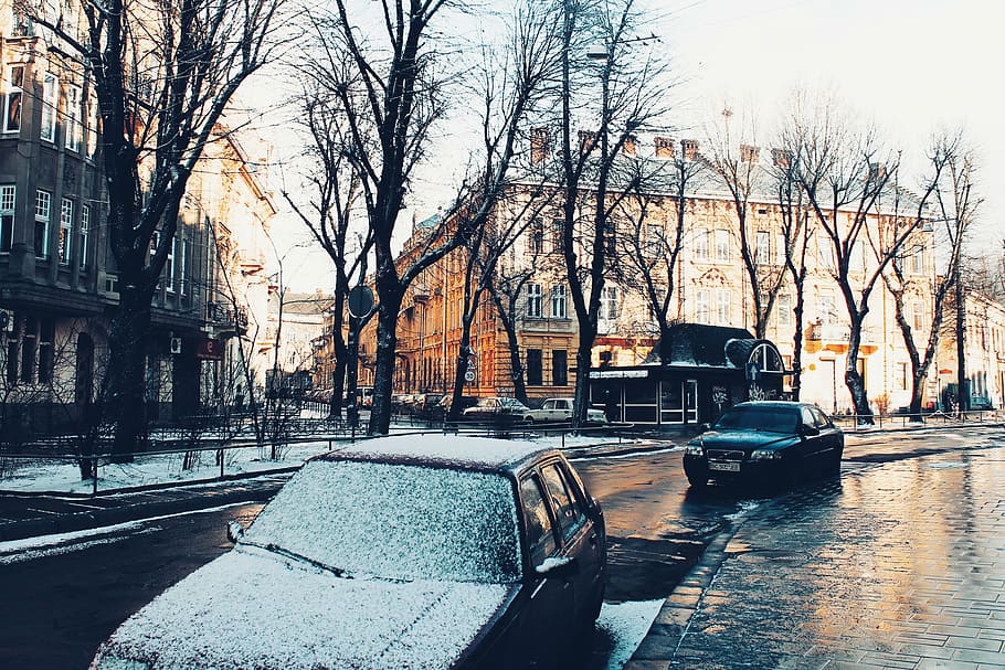 Photography of Black Sedan, architecture, buildings, cold, daytime HD wallpaper