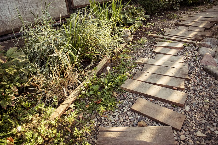slate, path, flagstone, road, plant, outdoors, wood, gravel HD wallpaper