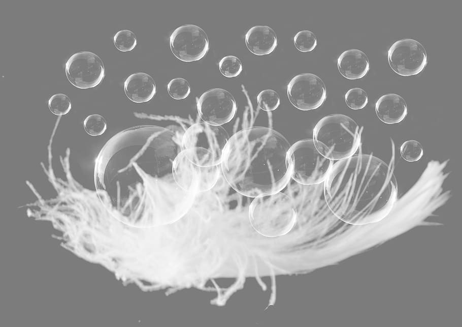 blow, soap bubbles, spherical, ball, round, bubbling bubbles HD wallpaper