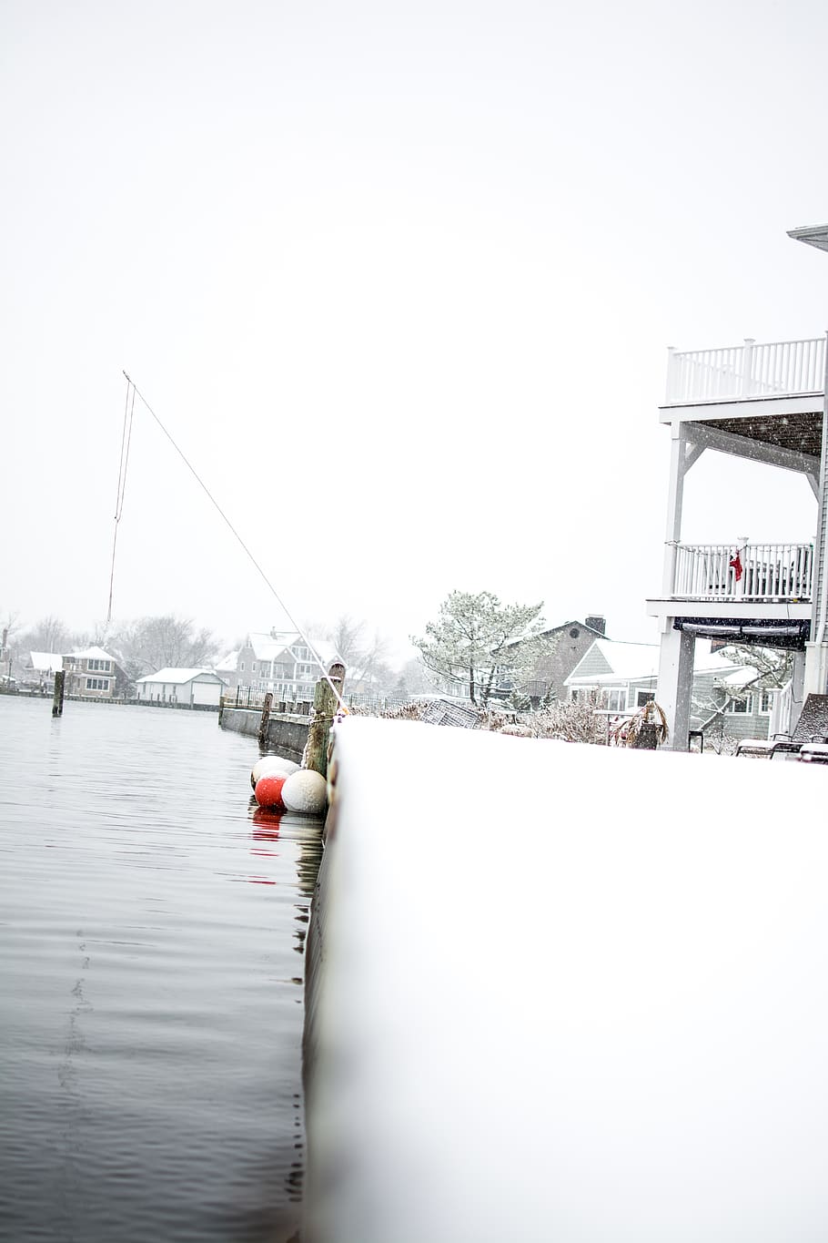 house, tree, grey, white, snowy, snowing, lakeside, ocean, fish HD wallpaper