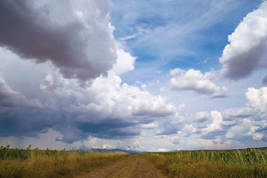 palencia, path, clouds, sky, cloud - sky, landscape, environment HD wallpaper
