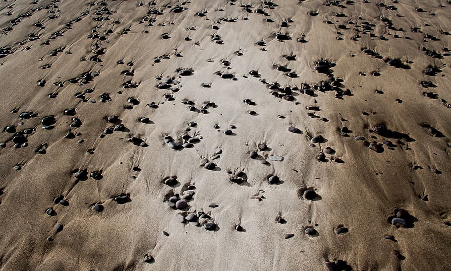 white and black sand photography, lanzarote, spain, footprint