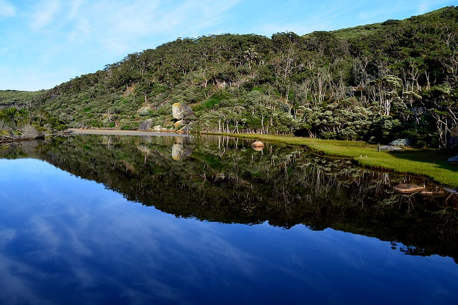 australia, tidal river, trees, nature, reflection, water, sky HD wallpaper