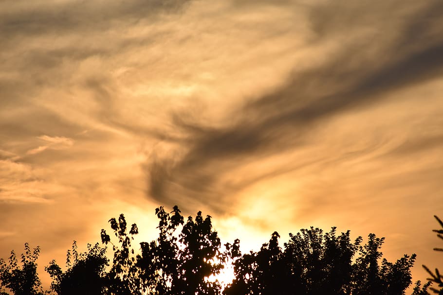 orange, yellow, bright, trees, fire, sunset, cloud - sky, beauty in nature HD wallpaper