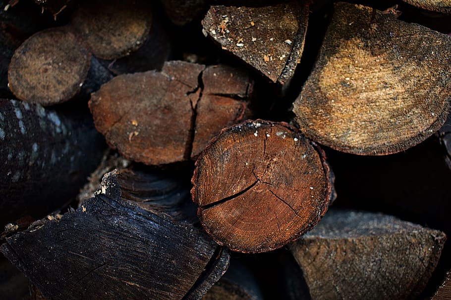 Stack of Wood Logs, bark, chopped, chopped wood, cut, dark, firewood, HD wallpaper