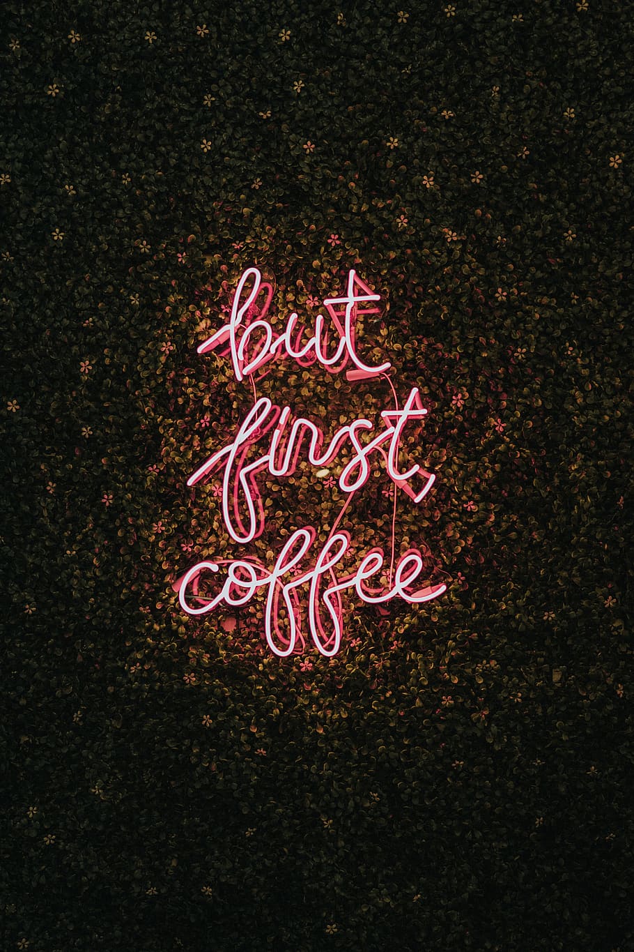 but first coffee, text, communication, western script, no people HD wallpaper
