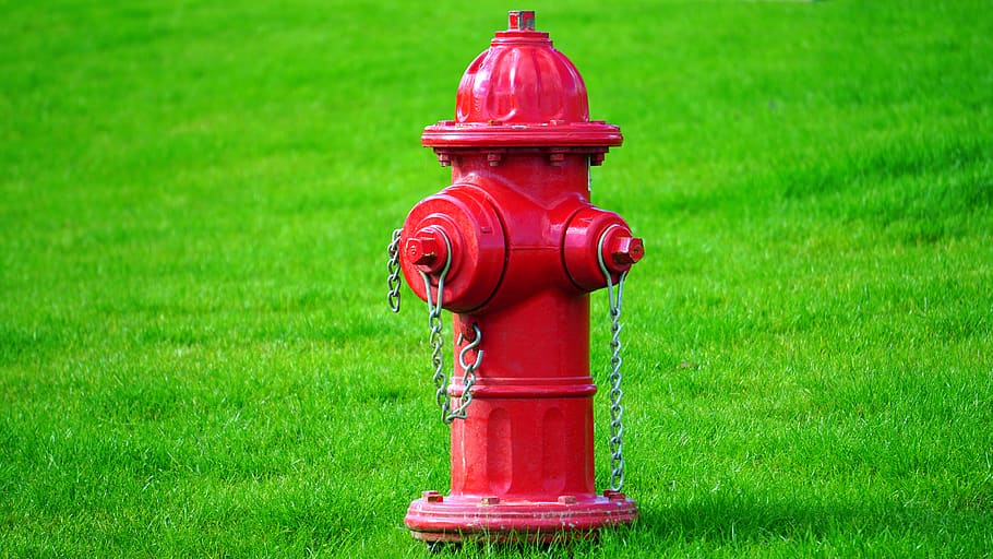Red Fire Hydrant on Green Grass Field, bright, color, lawn, metal HD wallpaper