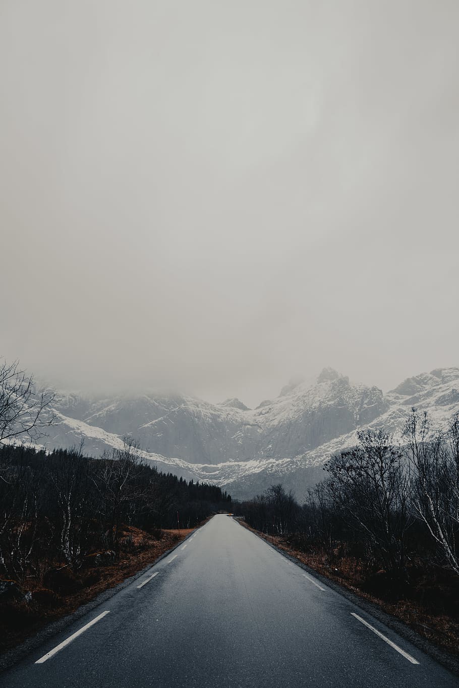 empty road between trees, the way forward, cold temperature, direction HD wallpaper
