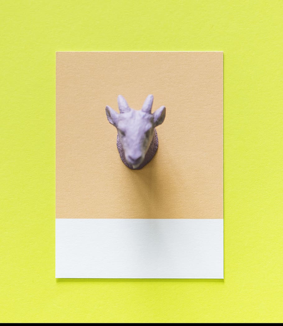 abstract, animal, background, card, colorful, concept, creative