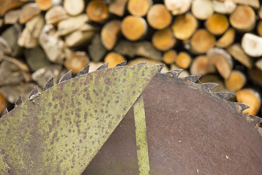 tree, lumber, saw, iron, rust, sharp, death, work, close-up HD wallpaper
