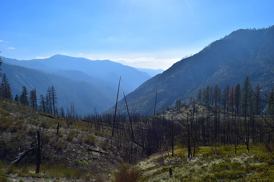mountains, nature, trees, trail, wood, landscape, forest, season HD wallpaper