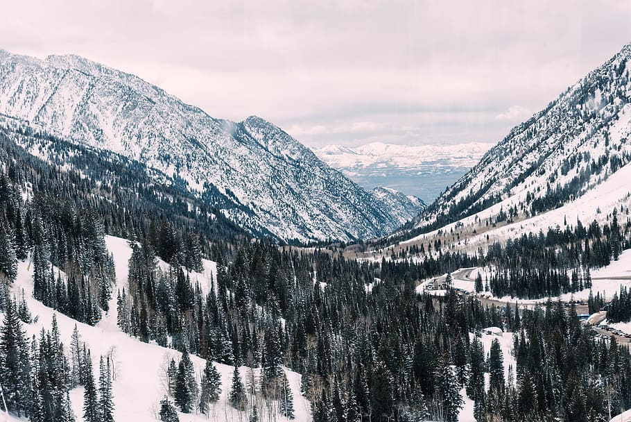 snow covered mountain slopes with pine trees, outdoors, nature HD wallpaper
