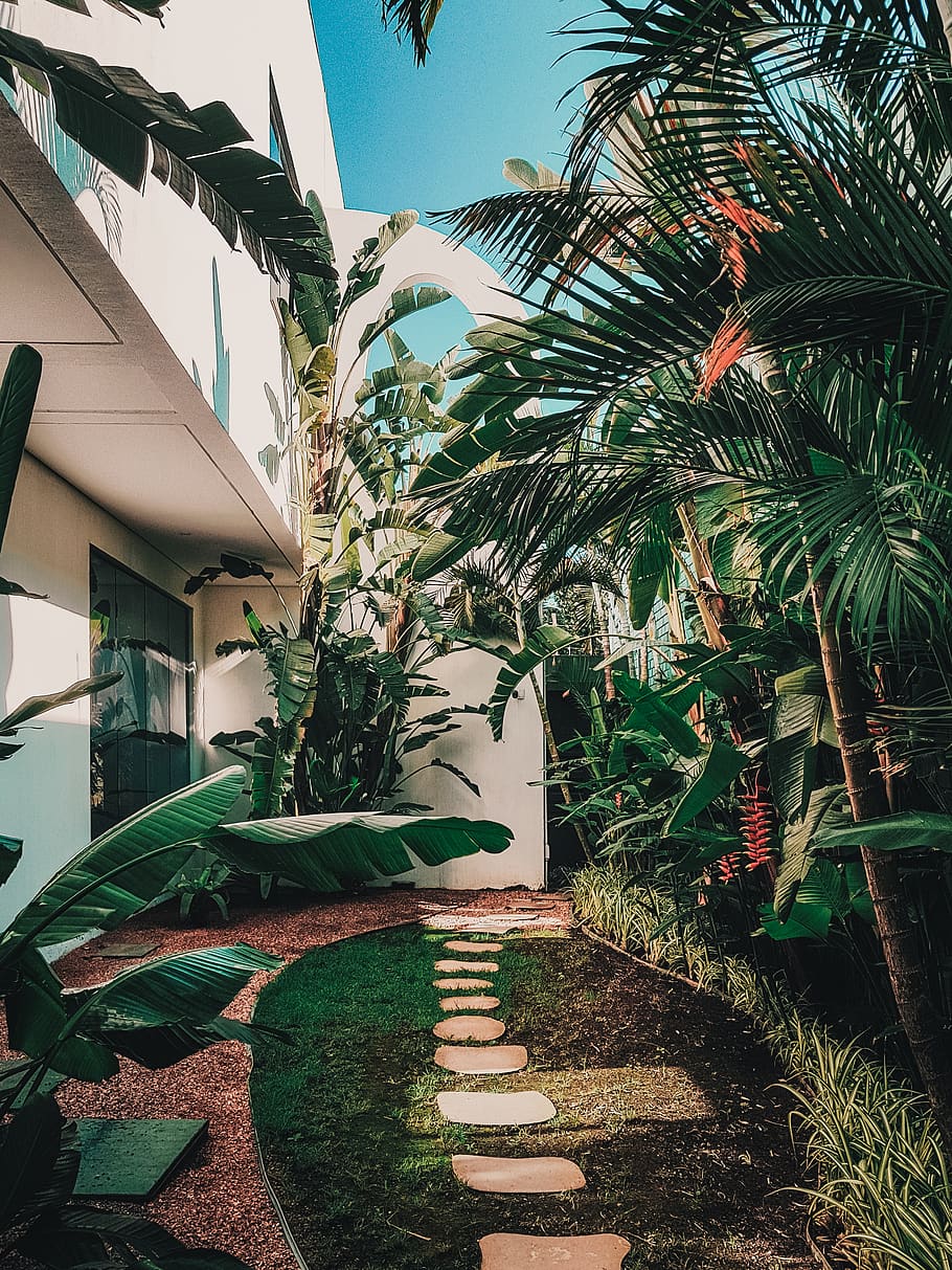 Garden Walkway View, architecture, daylight, flora, flowers, footpath HD wallpaper