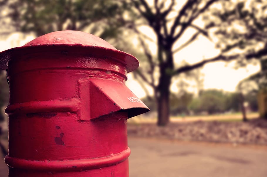 Letter box, focus on foreground, red, tree, mailbox, day, plant HD wallpaper