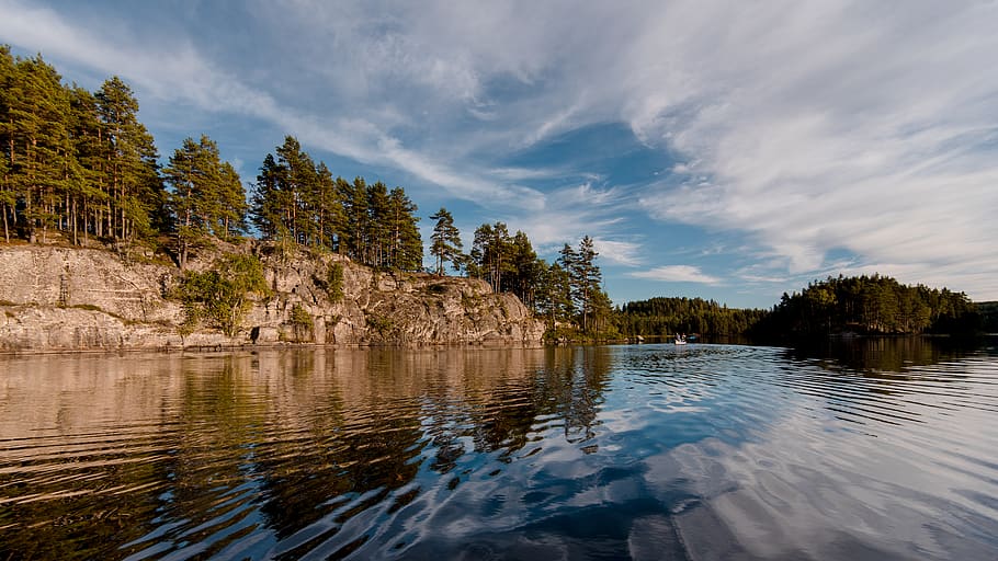 pine tree and lake, water, nature, outdoors, land, sea, ocean HD wallpaper
