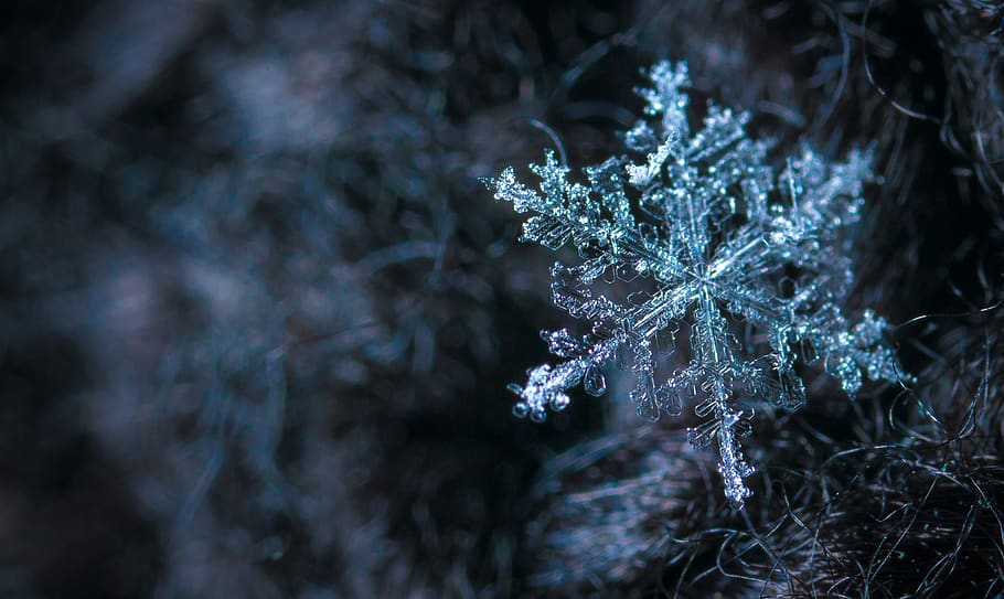 Close-up Photography of Snowflake, blur, cold, focus, frost, frosty HD wallpaper