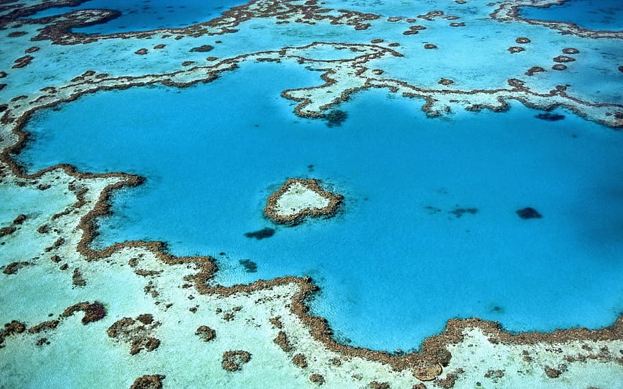 reef, heart, shape, island, corals, atoll, sea, ocean, water, HD wallpaper