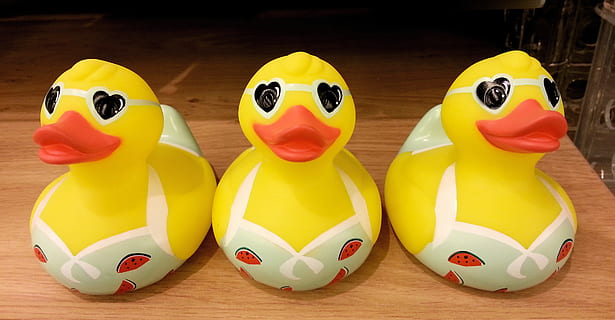 Three Cute Yellow Plastic Ducks in Their Bikinis., toys, fun HD wallpaper