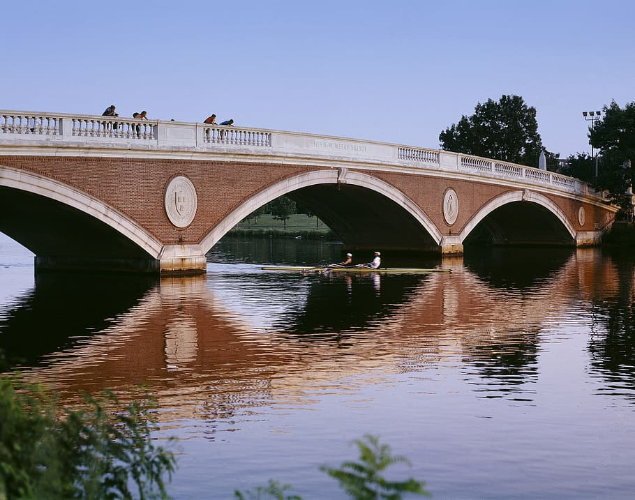 row, rowing, boat, water, still, river, bridge, construction HD wallpaper