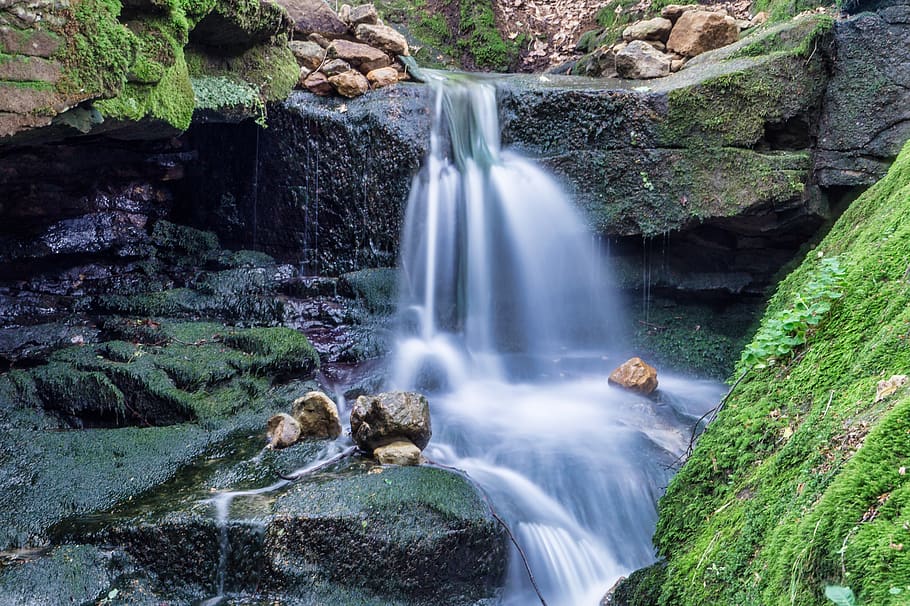bach, forest, nature, scenics - nature, waterfall, solid, beauty in nature HD wallpaper