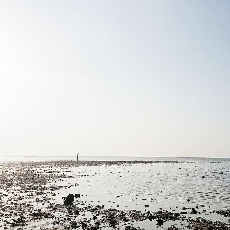 run, sea, summer, minimal, man, beach, water, horizon, sky HD wallpaper