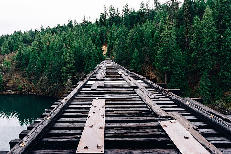 wood, bridge, old, forest, trees, woods, water, lake, nature HD wallpaper