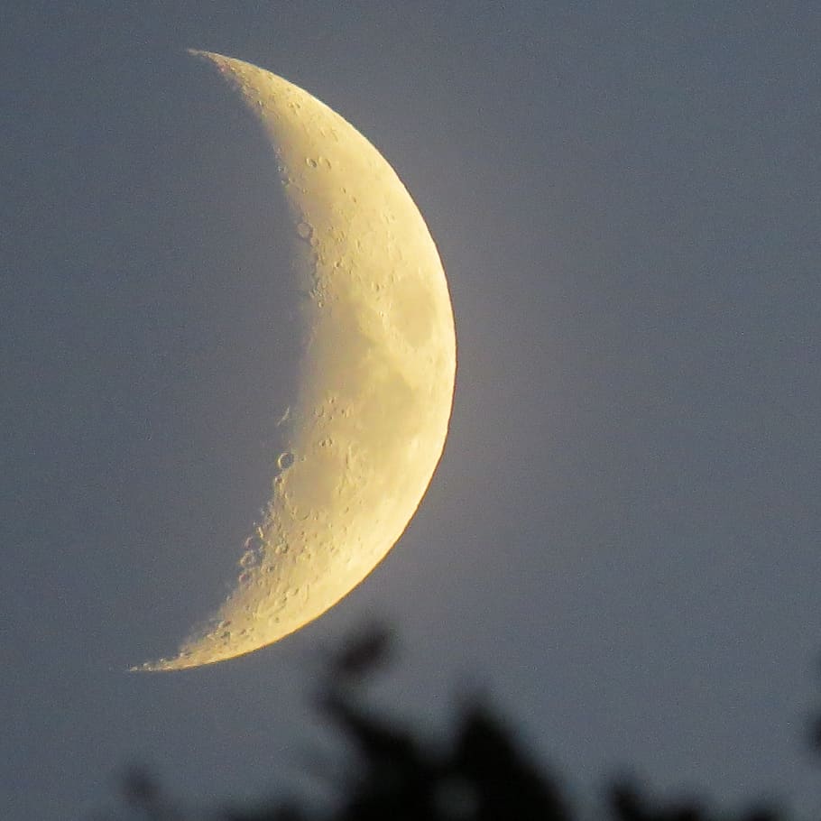 moon, partial, sky, beauty in nature, night, planetary moon HD wallpaper