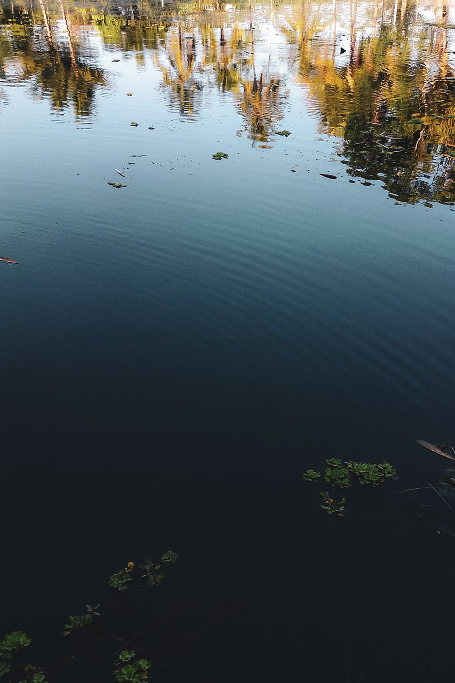 indonesia, lake, blue, reflection, water, tranquility, plant HD wallpaper