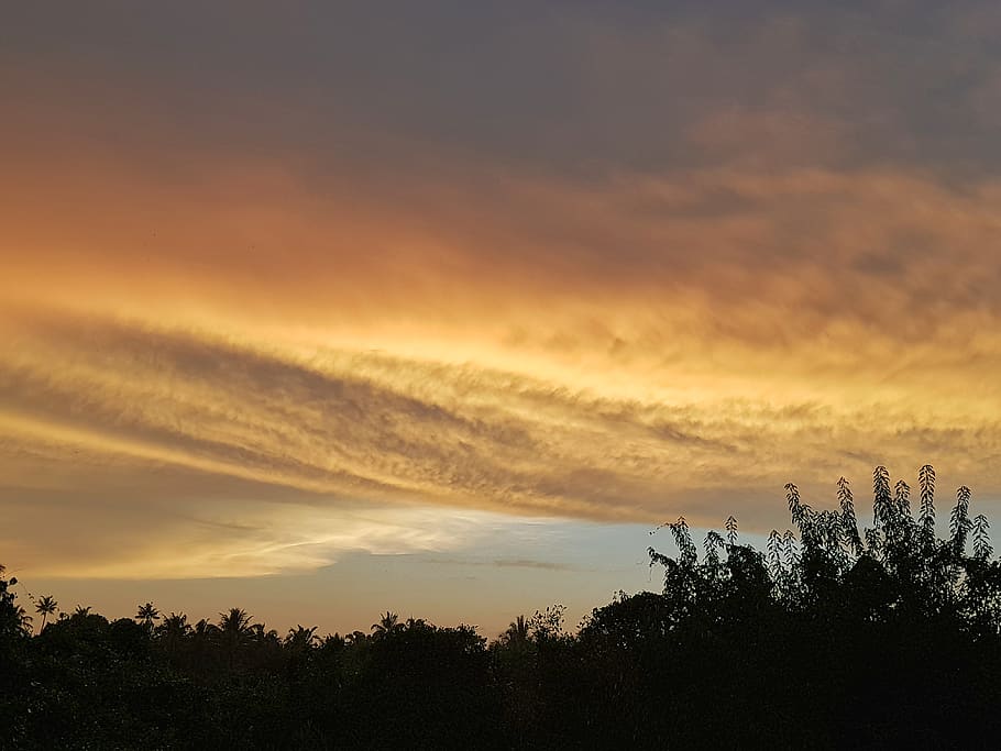 landscape, s8plus, samsung, trees, sunset, cycle, ride, windy HD wallpaper
