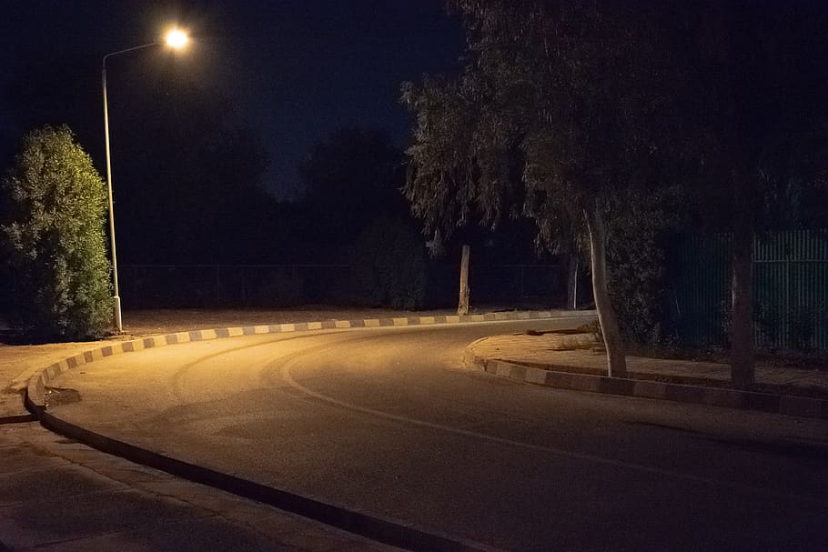 iran, ahvaz, tree, night, plant, road, street, transportation HD wallpaper
