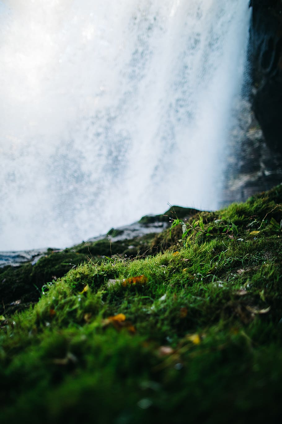 waterfalls, moss, plant, nature, outdoors, river, dry falls, united states HD wallpaper