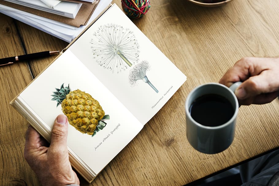 Person Holding Gray Ceramic Mug and Book, coffee, cup, drawings HD wallpaper