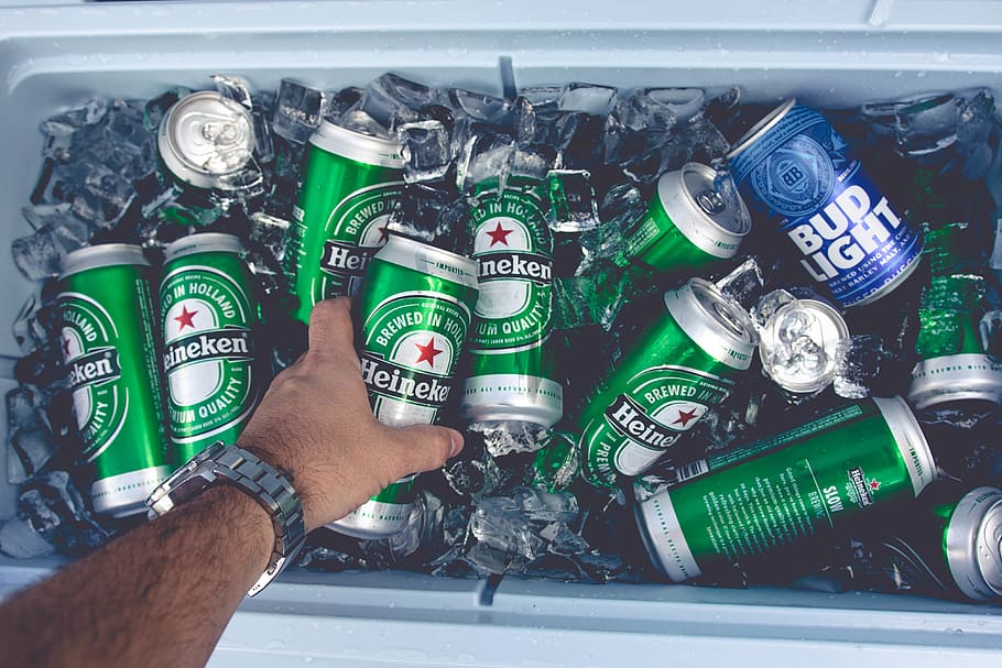 Heineken and Bud Light can in cooler, united states, new brunswick, HD wallpaper