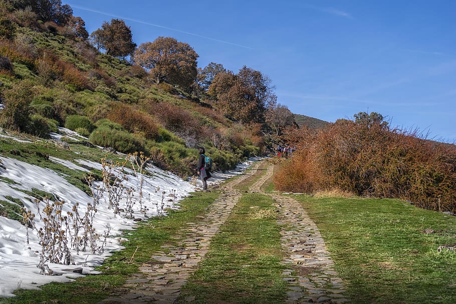 path, autumn, landscape, forest, trees, nature, hiking, lugros HD wallpaper