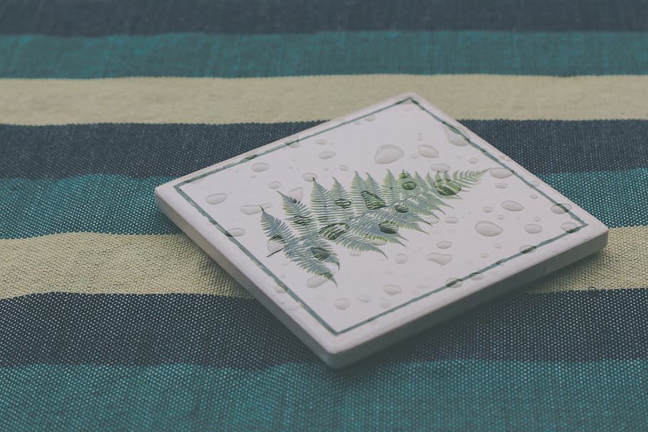 fir, tree, cotton, wool, raindro, coaster, table, tablecloth HD wallpaper