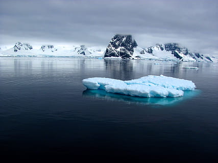 antarctic, cold temperature, ice, water, winter, frozen, glacier HD wallpaper
