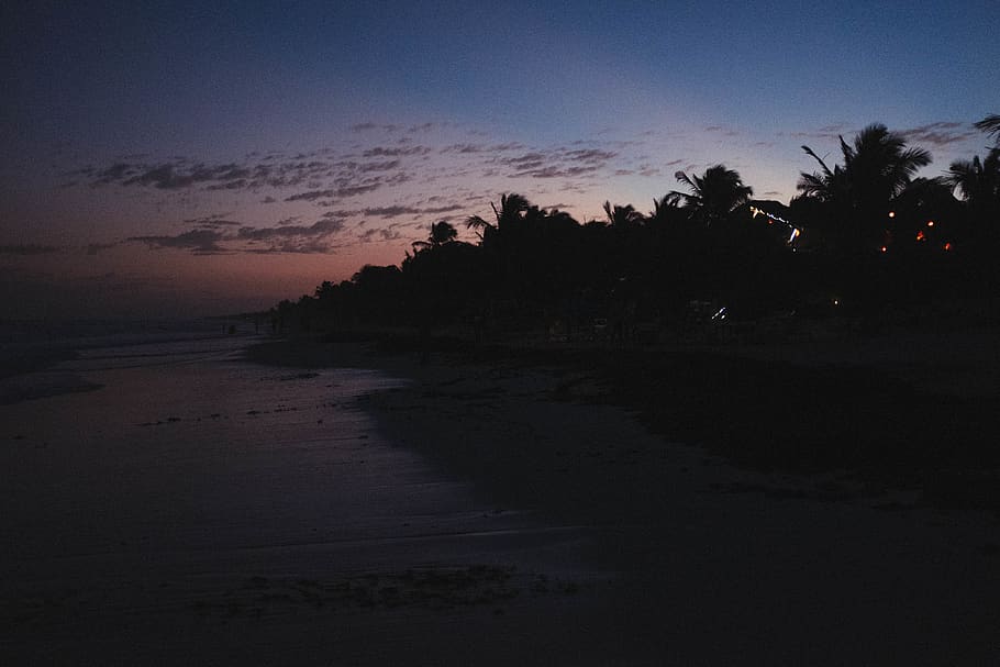 mexico, tulum, beach, sky, water, tree, sunset, sea, silhouette HD wallpaper