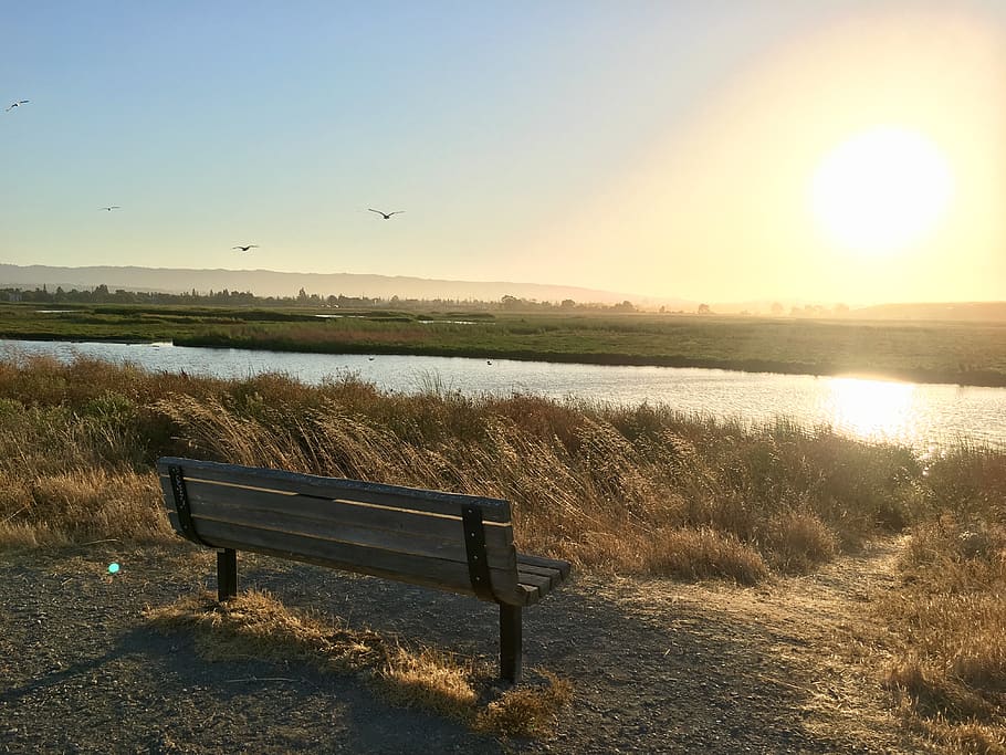 bench, scene, landscape, water, grass, sun, sky, tranquility HD wallpaper