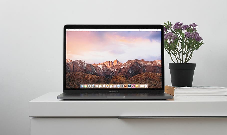 MacBook on top white table, plant, technology, flower, flowering plant HD wallpaper