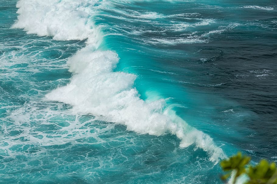 wave, water, ocean, maui, hawaii, sea, motion, beauty in nature HD wallpaper