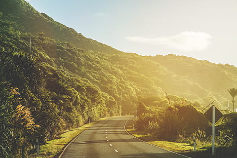 road, travel, explore, path, route, journey, track, jungle HD wallpaper