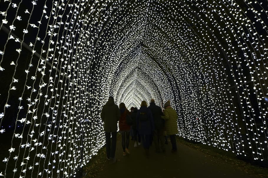 united kingdom, london, Christmas, Royal Botanic Gardens, lights, HD wallpaper