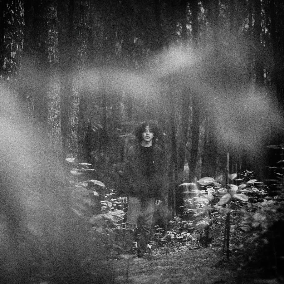 forest, tree, bw, plant, land, one person, real people, woodland HD wallpaper