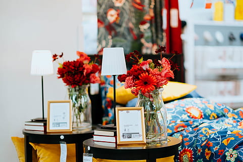 two flower arrangements on side tables, plant, table lamp, interior design HD wallpaper