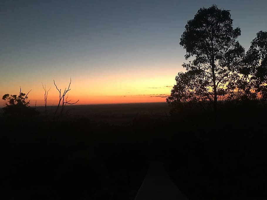 australia, perth, tree, sun, sunset, sunrise, dark, darkness
