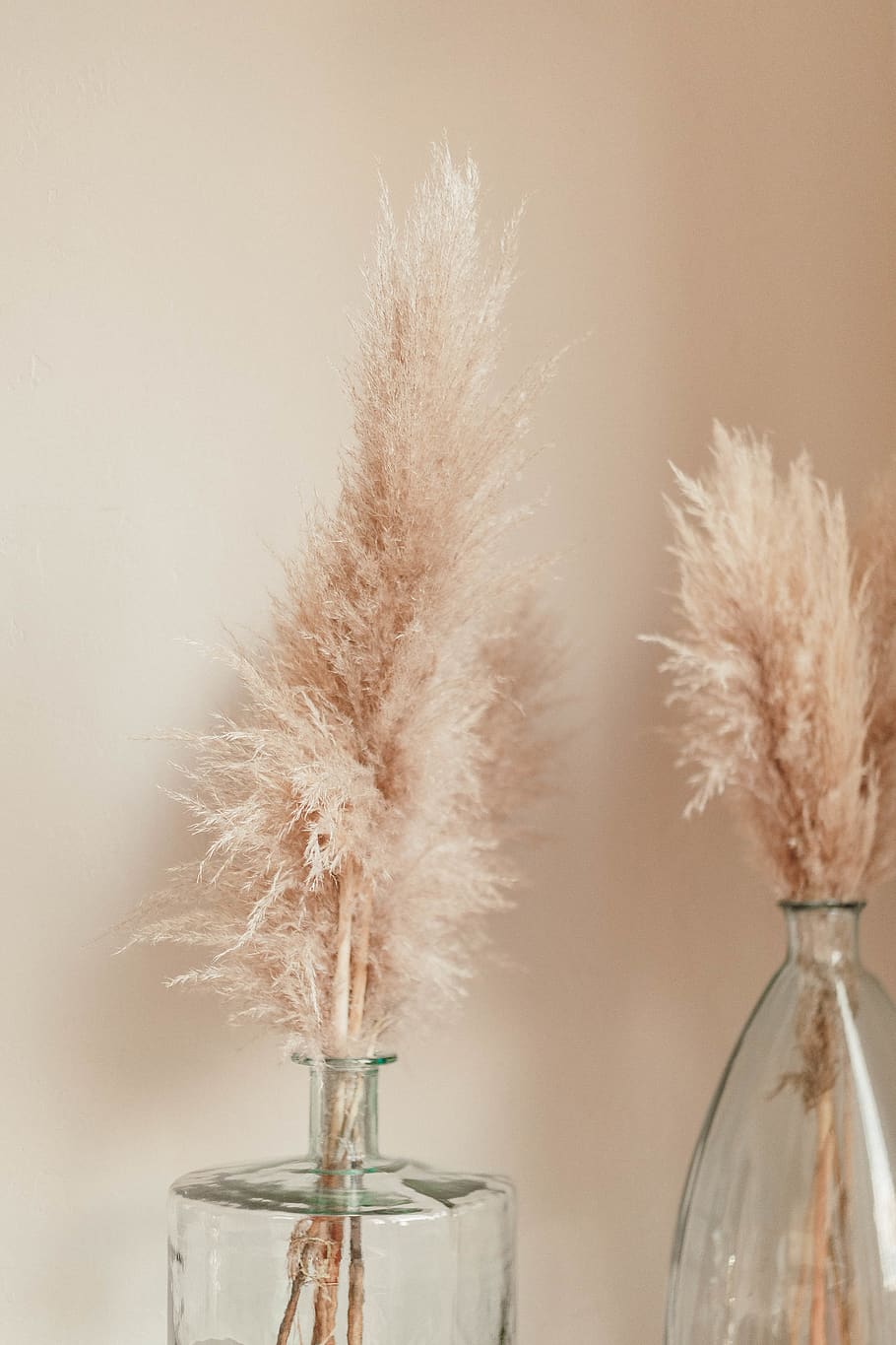 two clear glass bottles, plant, grass, lawn, reed, pollen, jar HD wallpaper